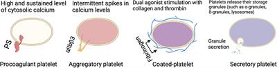 Platelet Subtypes in Inflammatory Settings